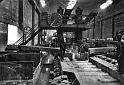 Tren Blooming - Basconia